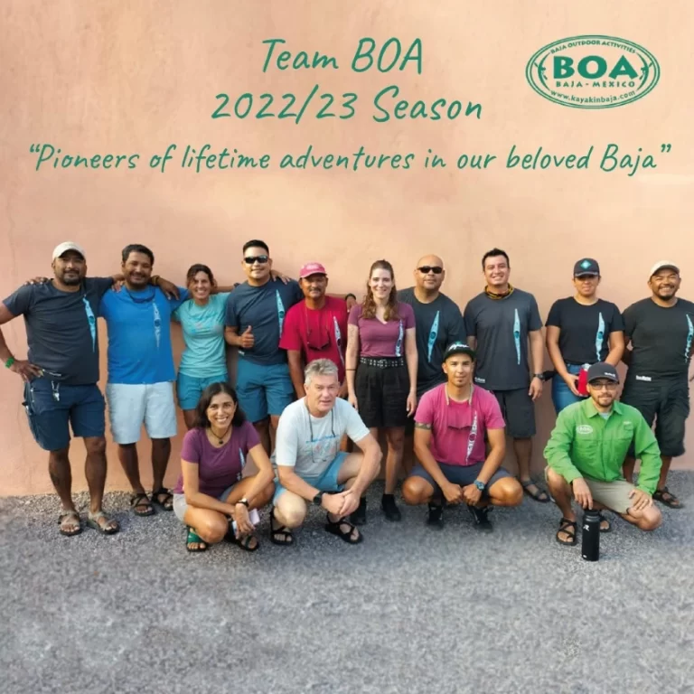 BOA