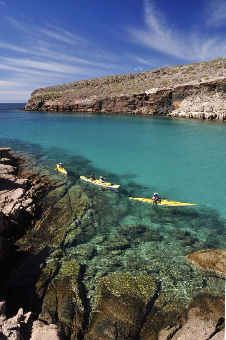 Tres kayaks amarillos navegando sobre las transparentes aguas de una bahía de la isla, como parte de un emocionante tour isla Espíritu Santo