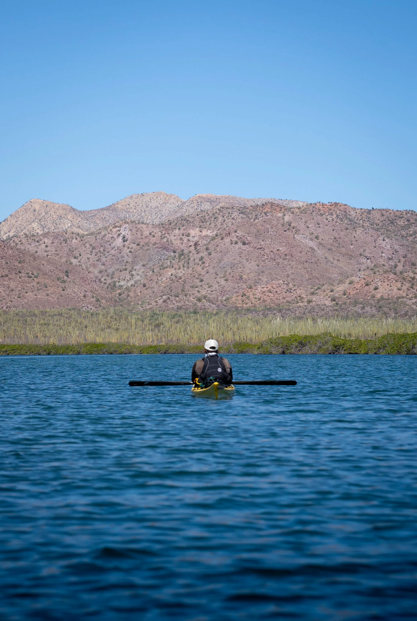 Persona en un kayak navegando en la zona de manglares con la sierra árida en el horizonte, en el entorno natural de los Bahía Magdalena Tours