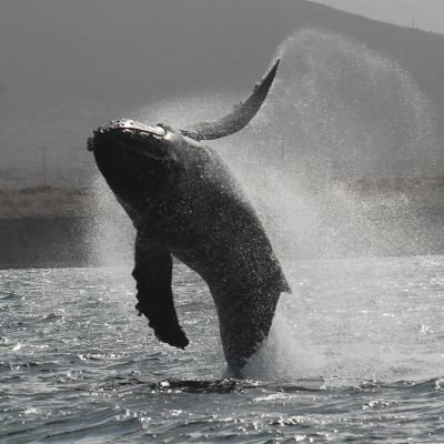 2016-02-04 16.59.13 (2)