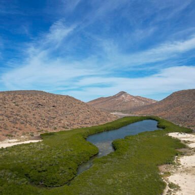 Imagen de WhatsApp 2025-03-21 a las 18.22.10_045e3004 (1)